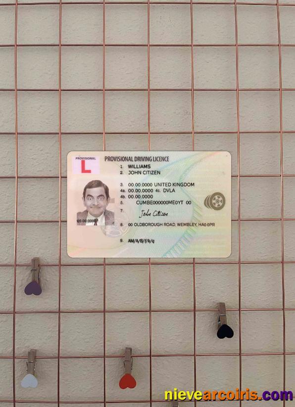 United Kingdom provisional driving license photolook